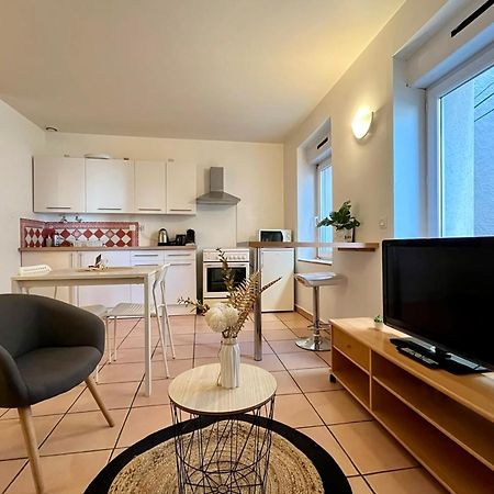Le Studio Theolier Downtown - Close To Pedestrian Street Турнон-сюр-Рон Екстер'єр фото