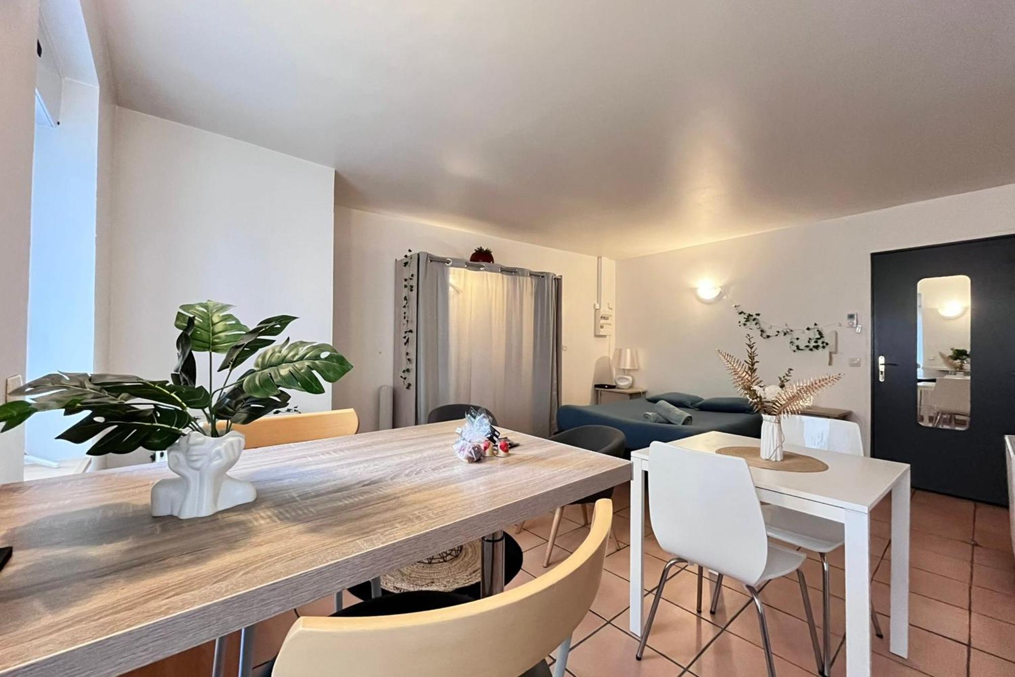 Le Studio Theolier Downtown - Close To Pedestrian Street Турнон-сюр-Рон Екстер'єр фото