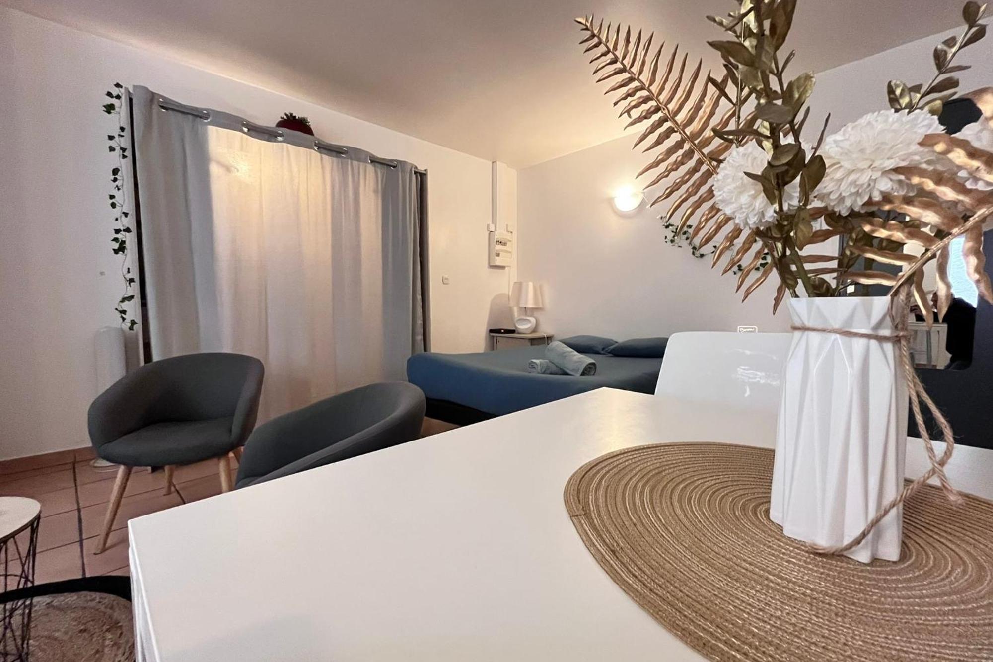 Le Studio Theolier Downtown - Close To Pedestrian Street Турнон-сюр-Рон Екстер'єр фото