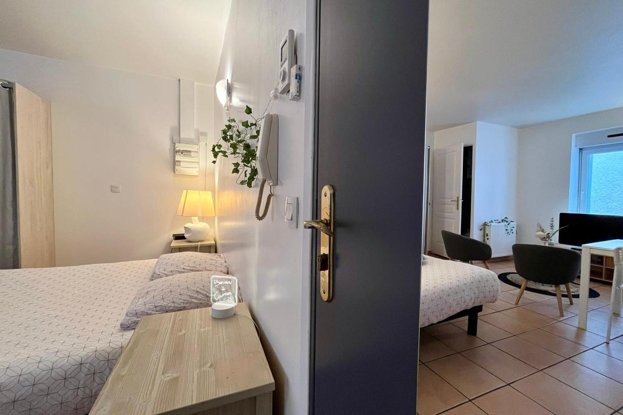 Le Studio Theolier Downtown - Close To Pedestrian Street Турнон-сюр-Рон Екстер'єр фото