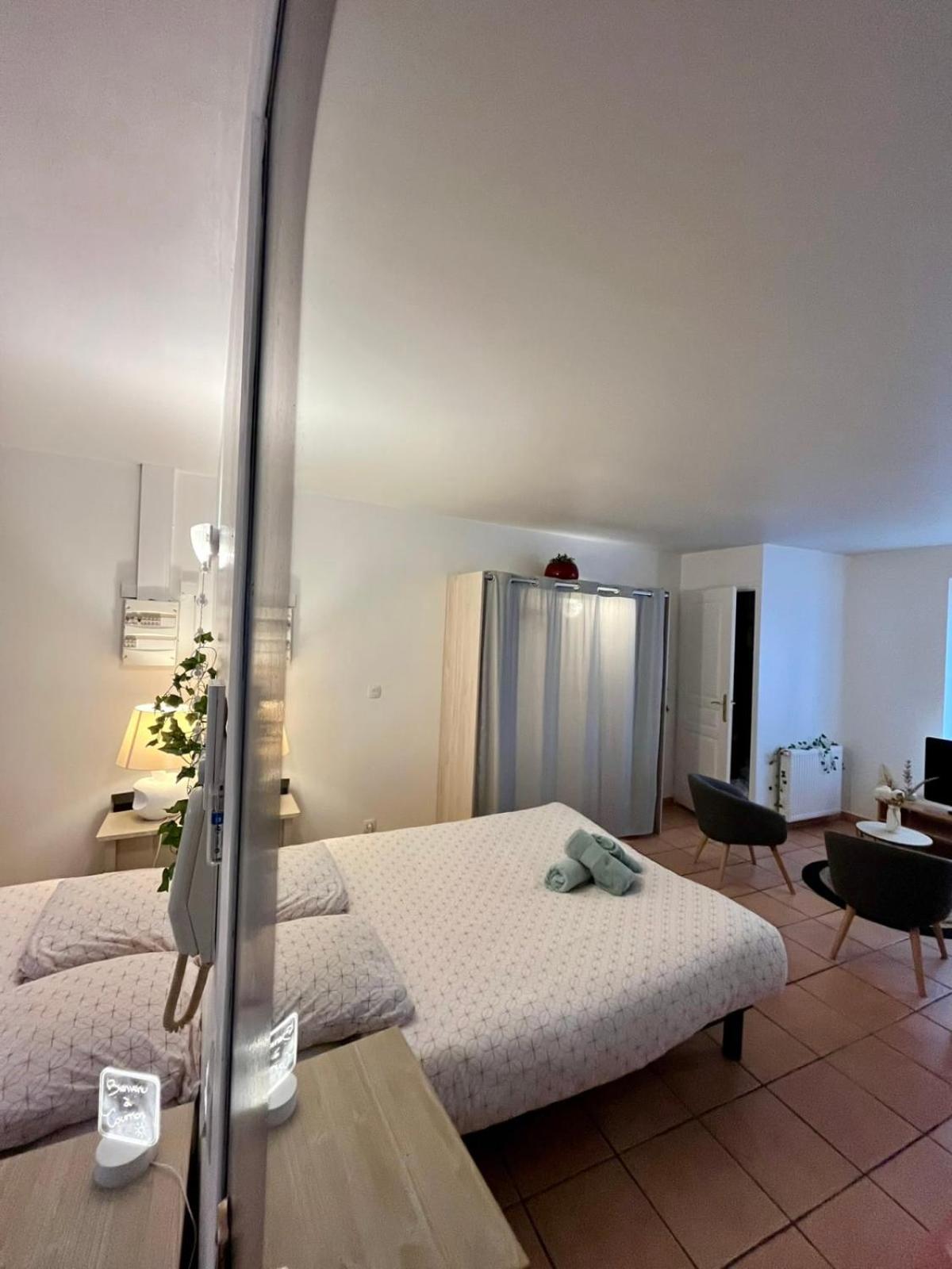 Le Studio Theolier Downtown - Close To Pedestrian Street Турнон-сюр-Рон Екстер'єр фото