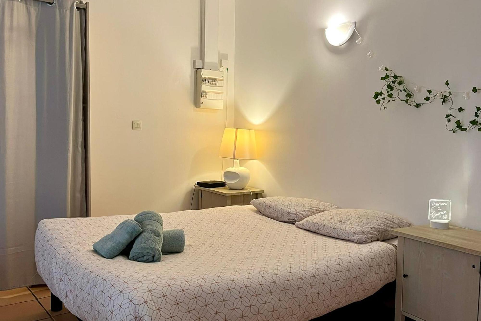 Le Studio Theolier Downtown - Close To Pedestrian Street Турнон-сюр-Рон Екстер'єр фото