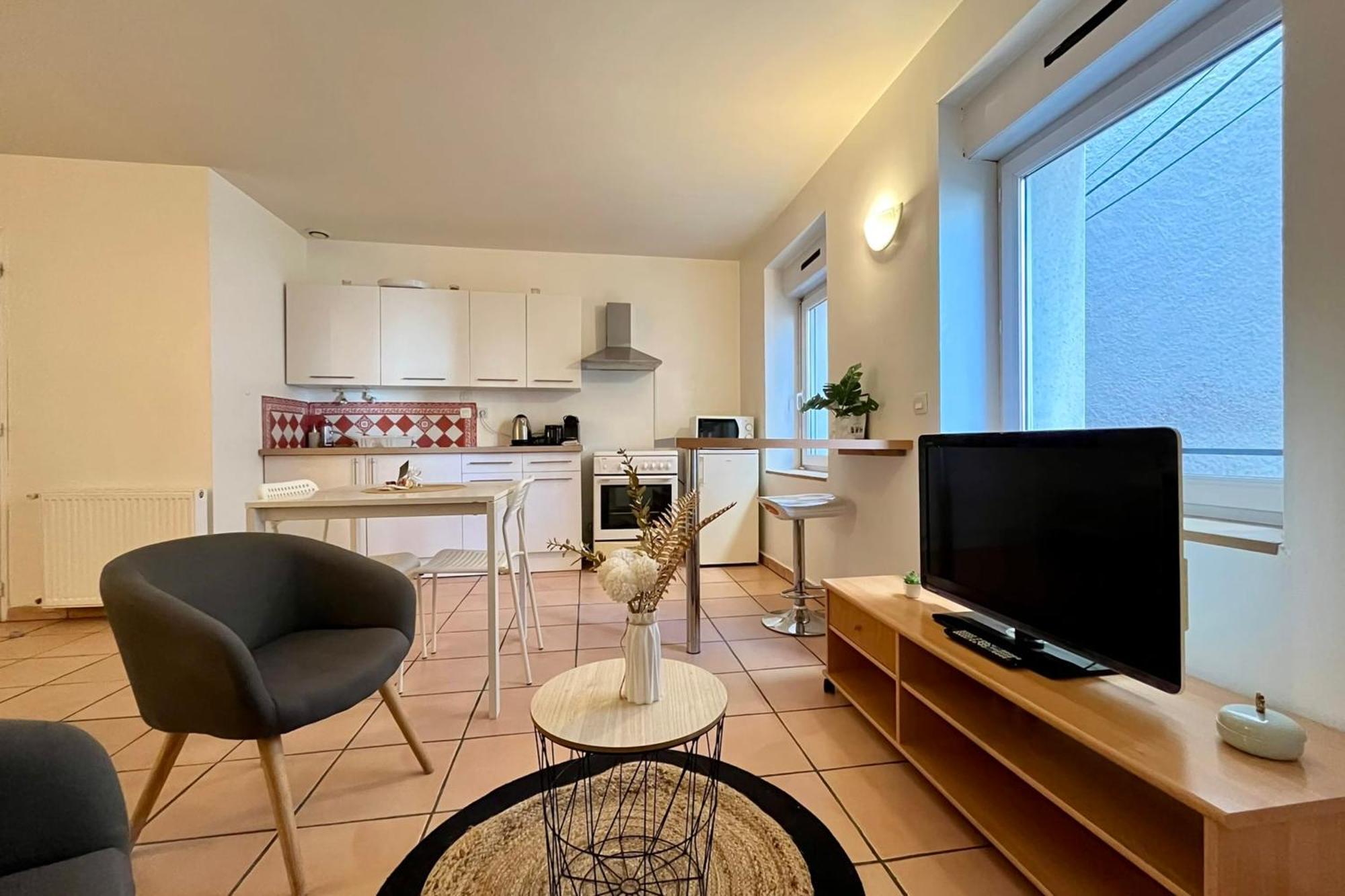 Le Studio Theolier Downtown - Close To Pedestrian Street Турнон-сюр-Рон Екстер'єр фото