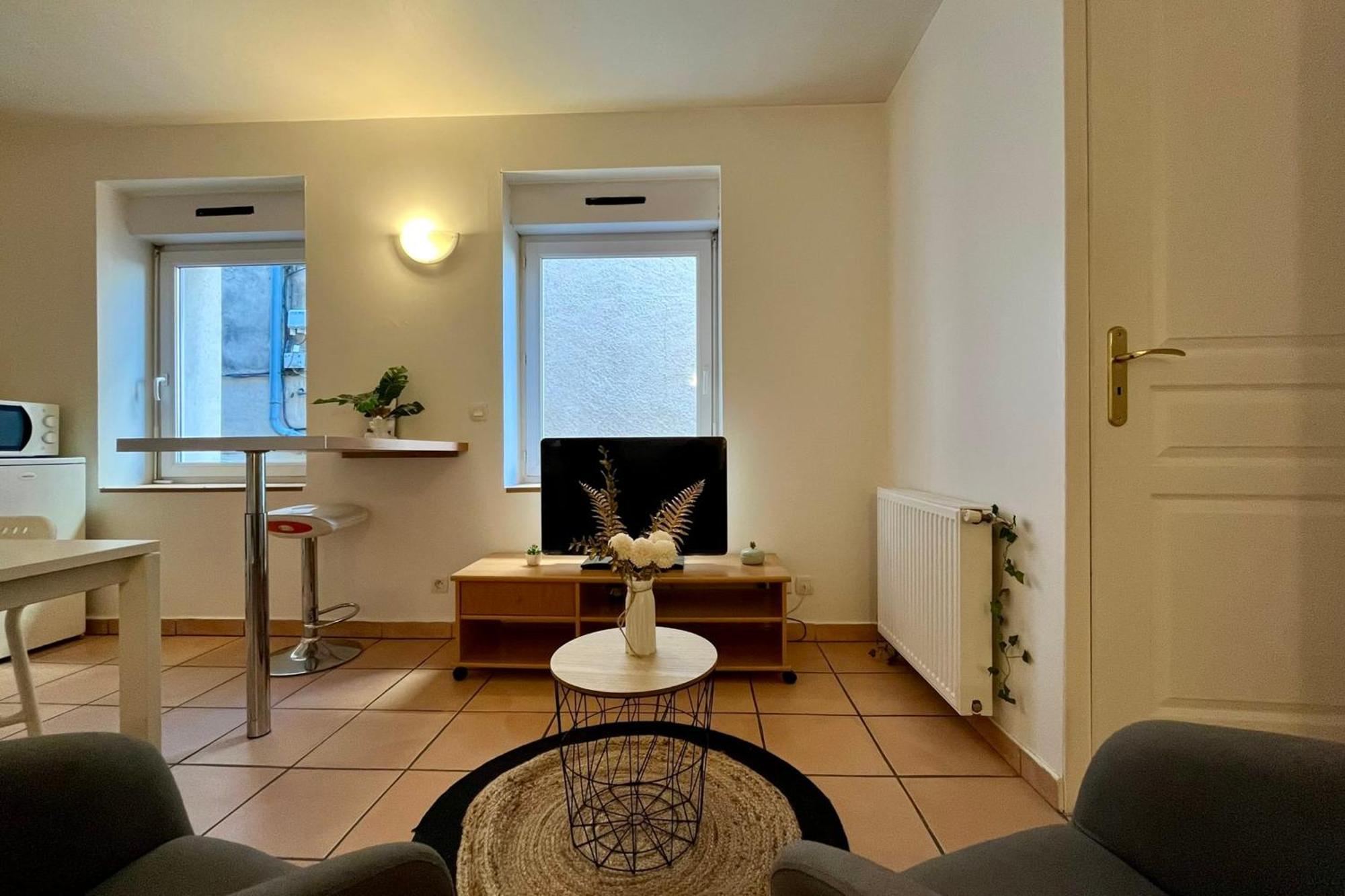 Le Studio Theolier Downtown - Close To Pedestrian Street Турнон-сюр-Рон Екстер'єр фото