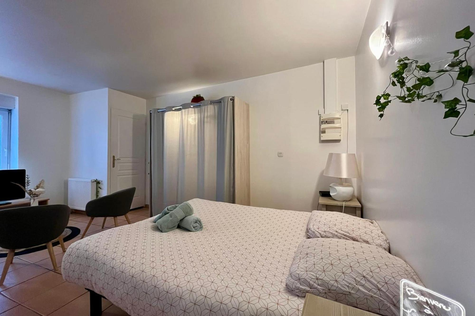 Le Studio Theolier Downtown - Close To Pedestrian Street Турнон-сюр-Рон Екстер'єр фото