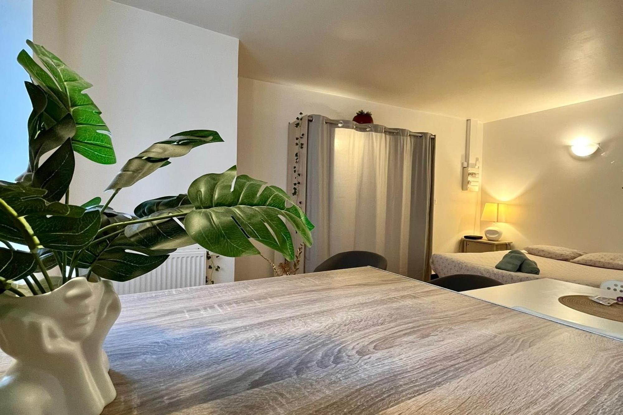 Le Studio Theolier Downtown - Close To Pedestrian Street Турнон-сюр-Рон Екстер'єр фото